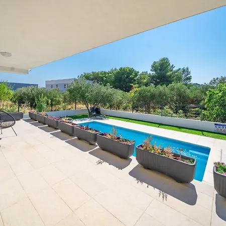 Wonderhouse Sovlja فيلة *