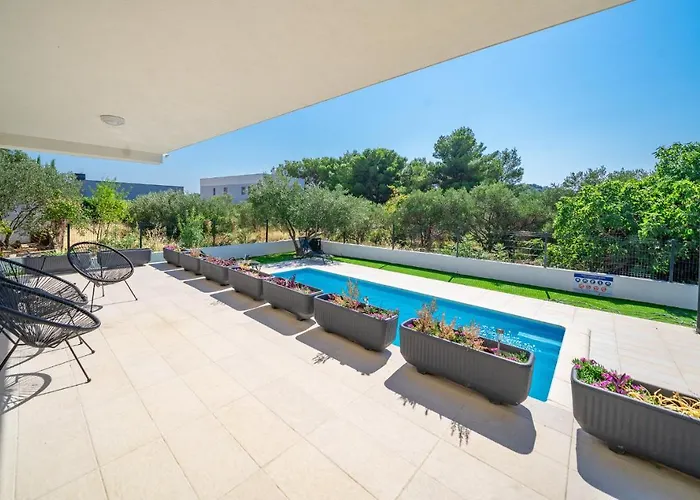 Wonderhouse Sovlja فيلة *